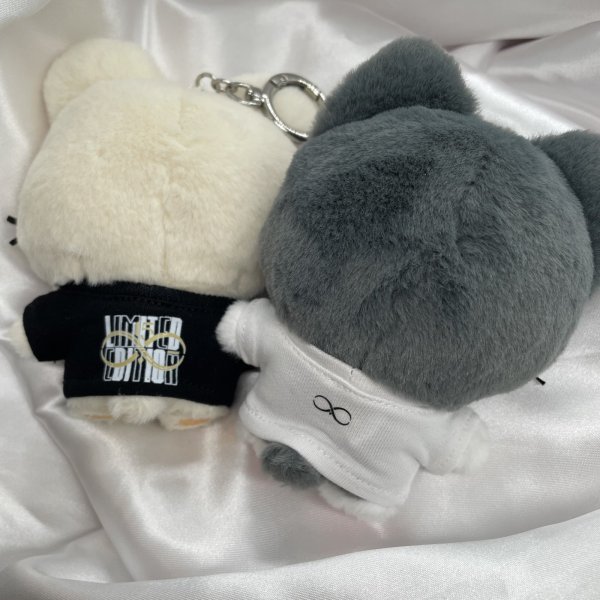 画像3: 10/15/20 INFINITE 着用風 Tシャツ 002 (3)