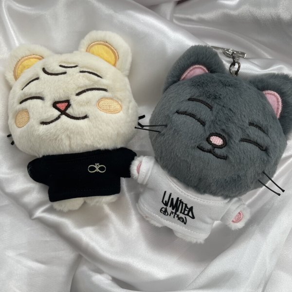 画像2: 10/15/20 INFINITE 着用風 Tシャツ 002 (2)