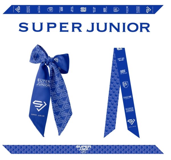 画像1: SUPERJUNIOR リボンスカーフ 007 (1)
