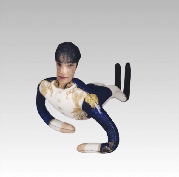 画像2: ASTRO チャウヌ 人形 約26~27cm 024 CHAEUNWOO (2)