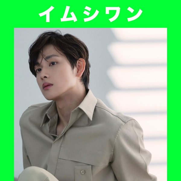 画像1: イムシワン センイル/デビュー記念/来日セット クレカ風カード (1)