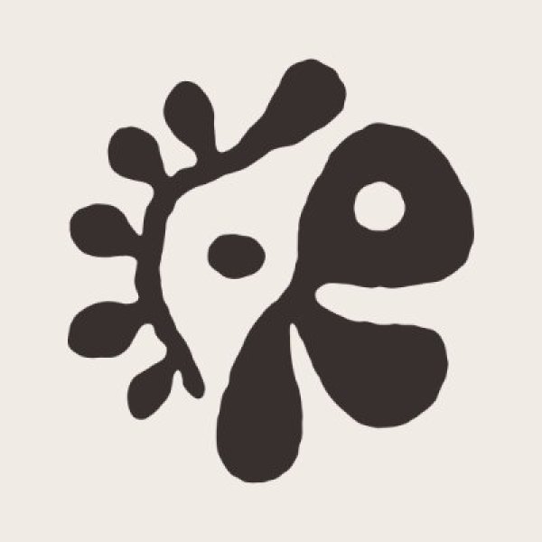 画像1: CORTIS  センイル/デビュー記念/来日セット クレカ風カード (1)