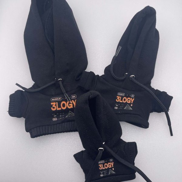 画像1: 【ご予約】パーカー 016 CNBLUE (1)