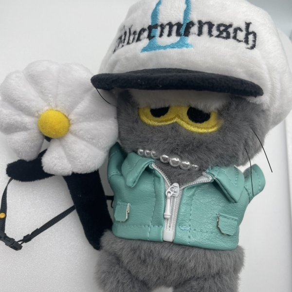 画像1: Labubu ZOA 共通 BIGBANG G-DRAGON 着用風 035 ジヨン GD (1)