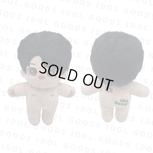 画像1: 数量限定 5月中到着予定 15cmdoll【ASTRO】チャウヌ CHAEUNWOO (1)