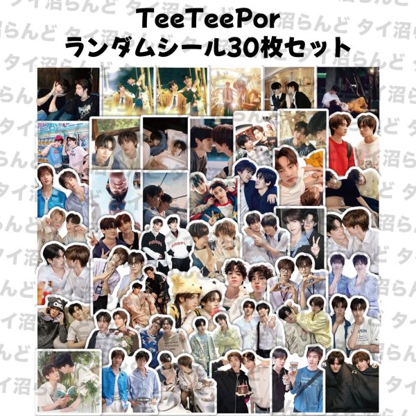 画像1: TeeTeepor ランダムシール30枚セット 014 (1)