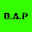 画像1: B.A.P センイル/デビュー記念/来日セット クレカ風カード (1)