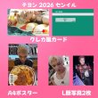 画像2: NCTセンイル/デビュー記念/来日セット クレカ風カード (2)