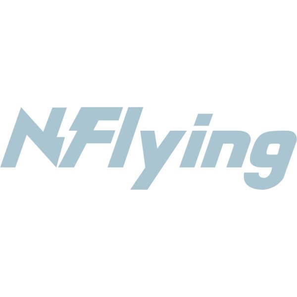 画像1: N.Flying センイル/デビュー記念/来日セット クレカ風カード (1)