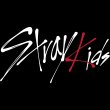 画像1: Stray Kids  センイル/デビュー記念/来日セット クレカ風カード (1)