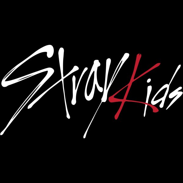 画像1: Stray Kids  センイル/デビュー記念/来日セット クレカ風カード (1)