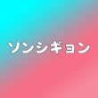 画像1: ソンシギョン センイル/デビュー記念/来日セット クレカ風カード (1)