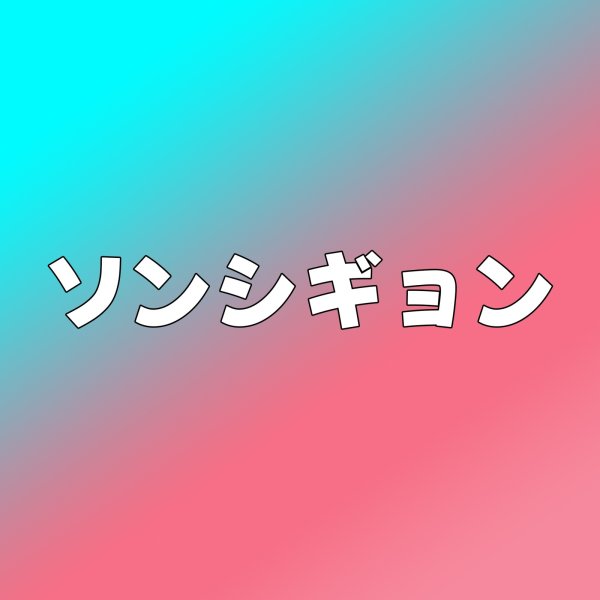 画像1: ソンシギョン センイル/デビュー記念/来日セット クレカ風カード (1)