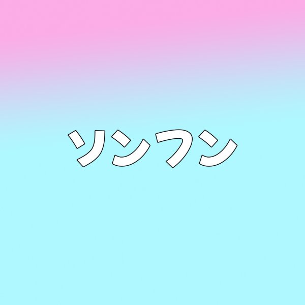画像1: ソンフン センイル/デビュー記念/来日セット クレカ風カード (1)