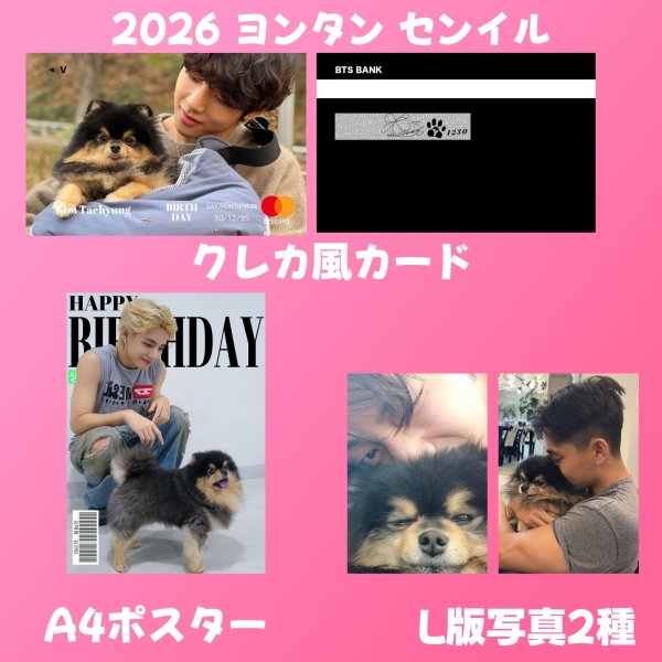画像13: BTSセンイル/デビュー記念/来日セット クレカ風カード (13)
