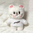 画像1: 7/10/15/20/ StrayKids Tシャツ 016 (1)