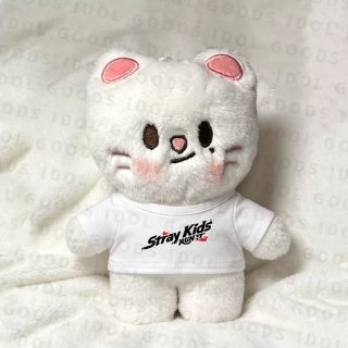 StrayKids - I DOLL STYLE
