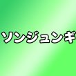 画像1: ソンジュンギ センイル/デビュー記念/来日セット クレカ風カード (1)