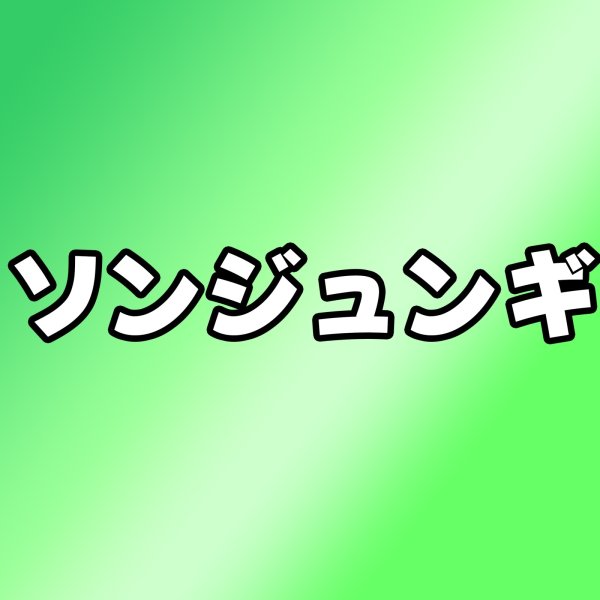 画像1: ソンジュンギ センイル/デビュー記念/来日セット クレカ風カード (1)